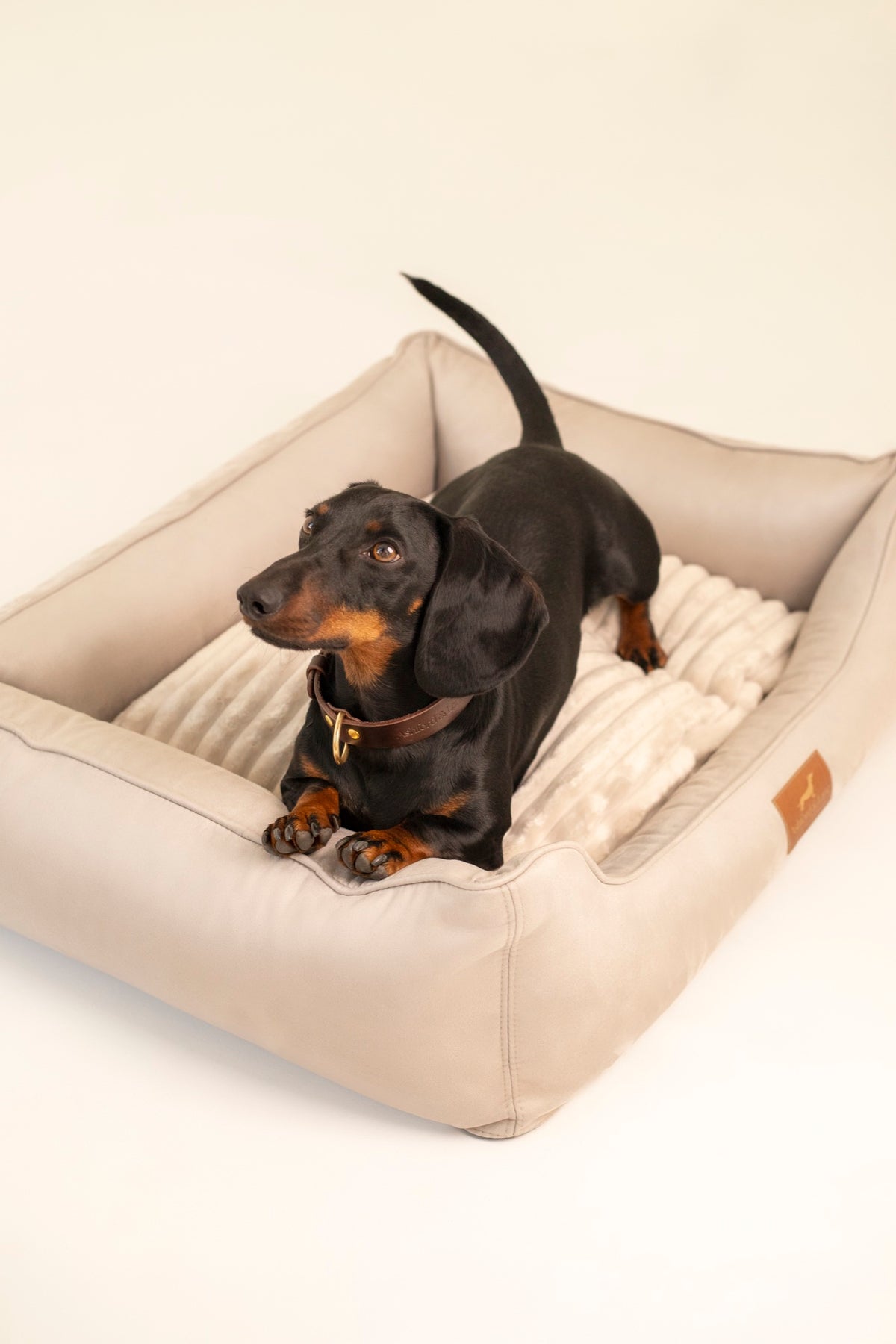 Legowisko Chelsea – Silver Gray