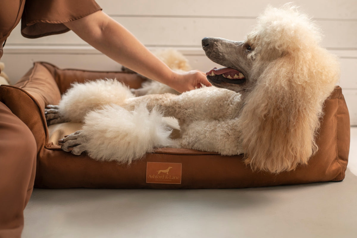 Legowisko Harrow – Saddle Brown / Continental Beige