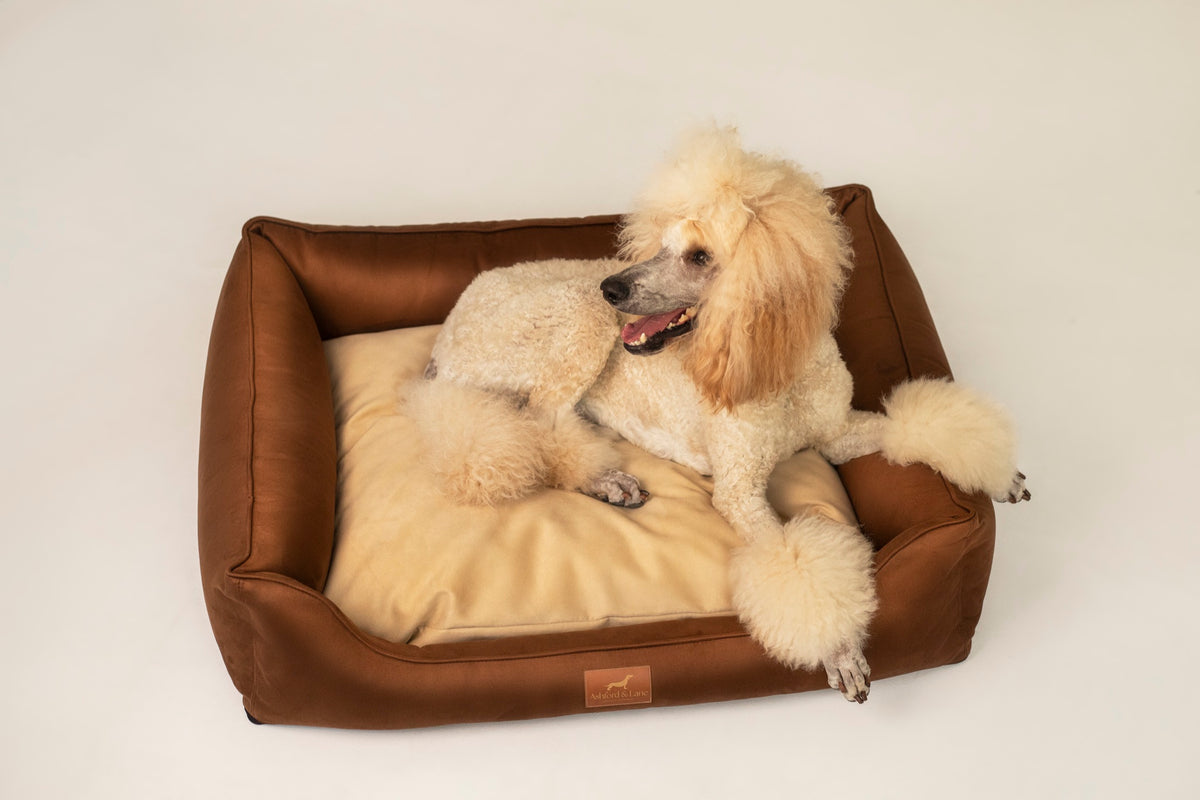 Legowisko Harrow – Saddle Brown / Continental Beige