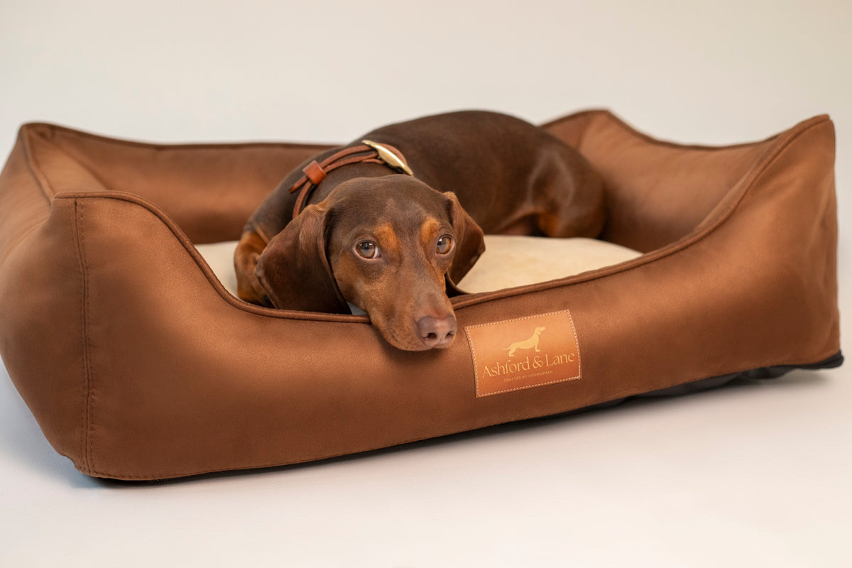 Legowisko Harrow – Saddle Brown / Continental Beige